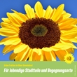 Sharepic - Sonnenblume